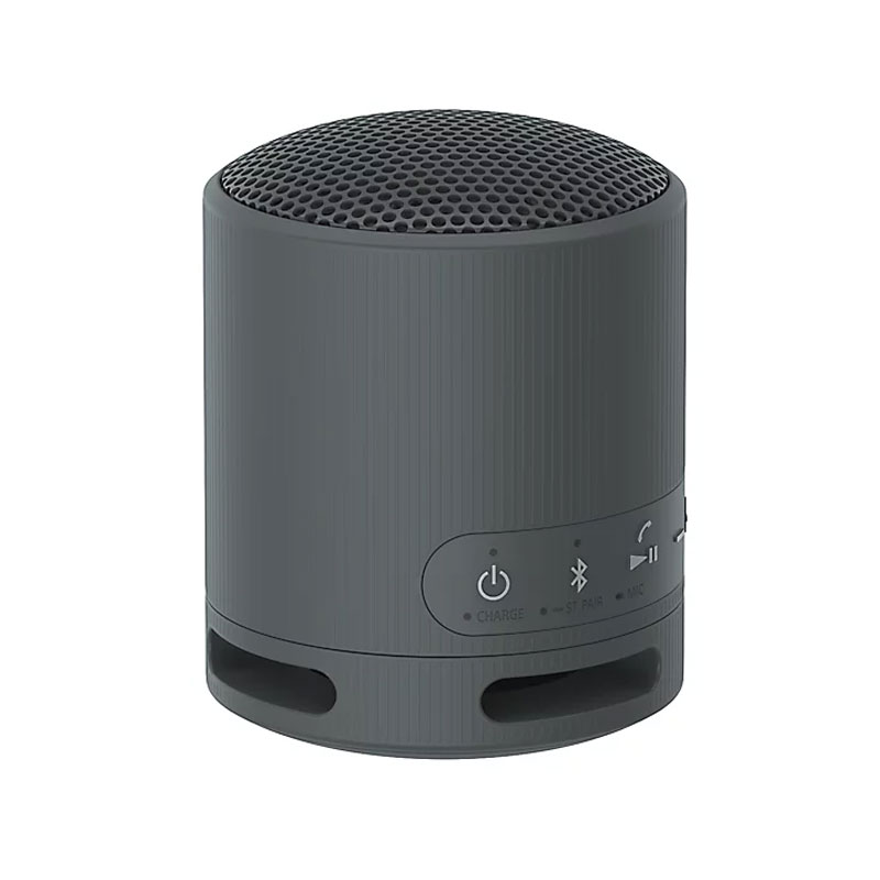 Sony XB100 Wireless Bluetooth Speaker