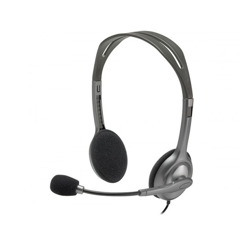 Logitech H110 STEREO Headphone (Two port)