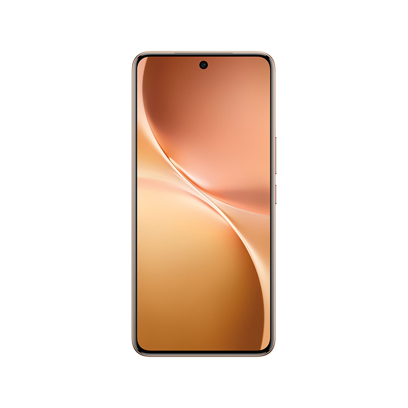 Vivo V60 5G (12/256GB)