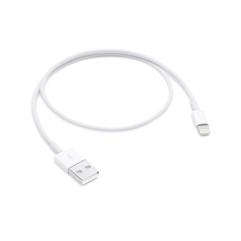 Apple Lightning to USB Cable (0.5M)