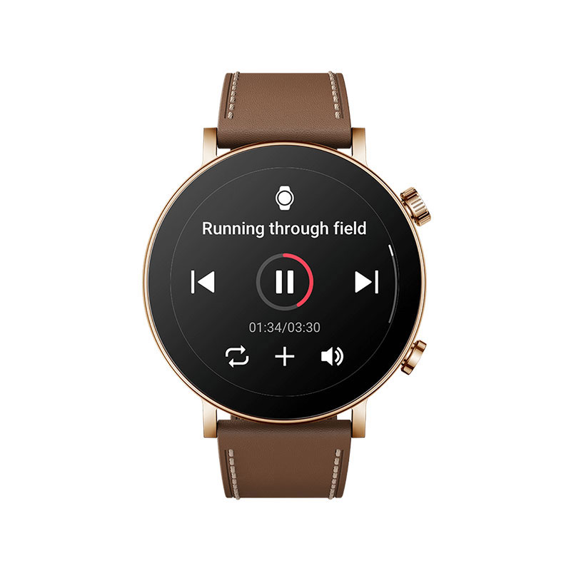 Amazfit GTR 3 Pro (Limited Edition)