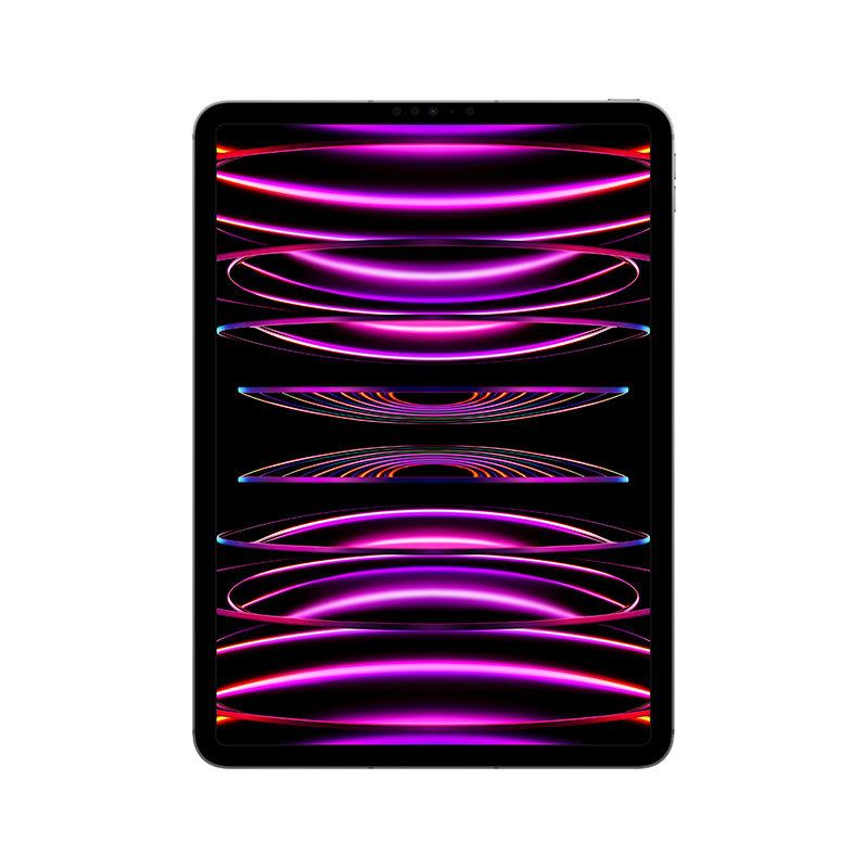 iPad Pro 11" WiFi+Cellular (4th Gen) M2 Chip 128GB Space Gray