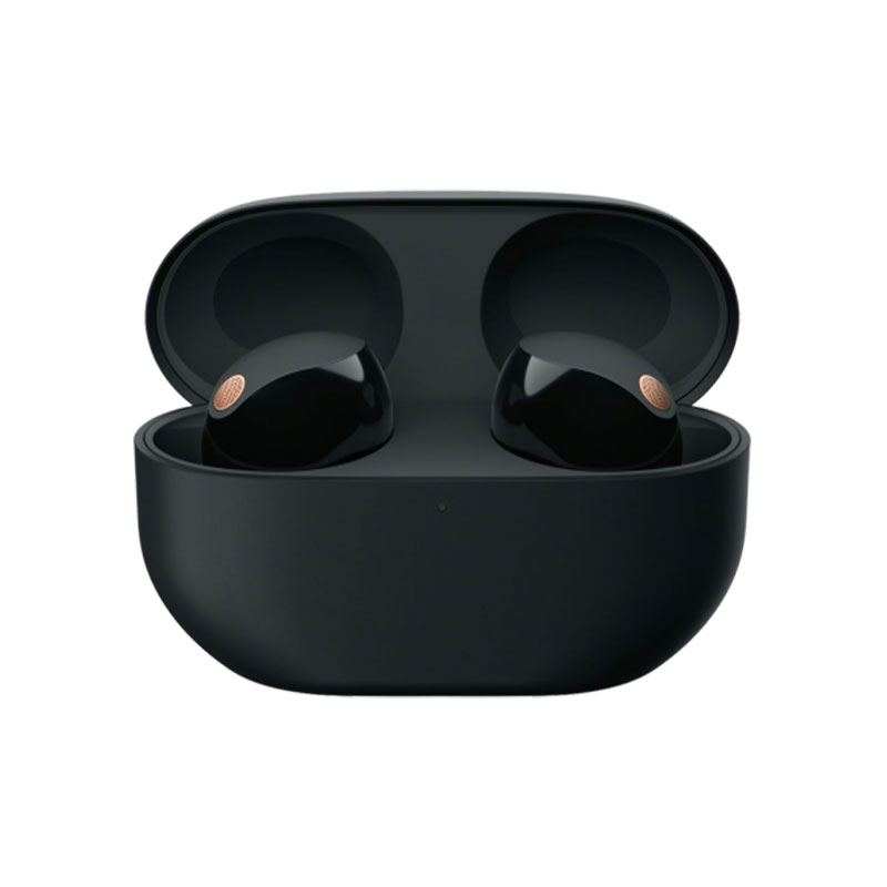 Sony WF-1000XM5 Noise Canceling True Wireless Earbuds